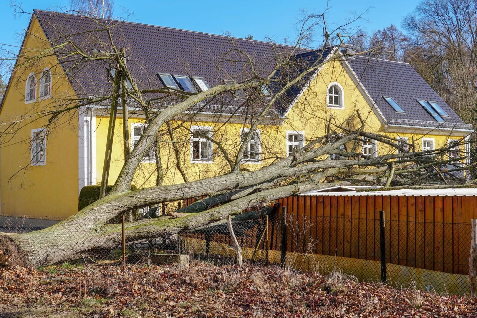 Ein entwurzelter Baum liegt auf einem Carport bei Görlitz (Archivbild): In Sachsen gab es letztes Jahr Unwetterschäden in Millionenhöhe.