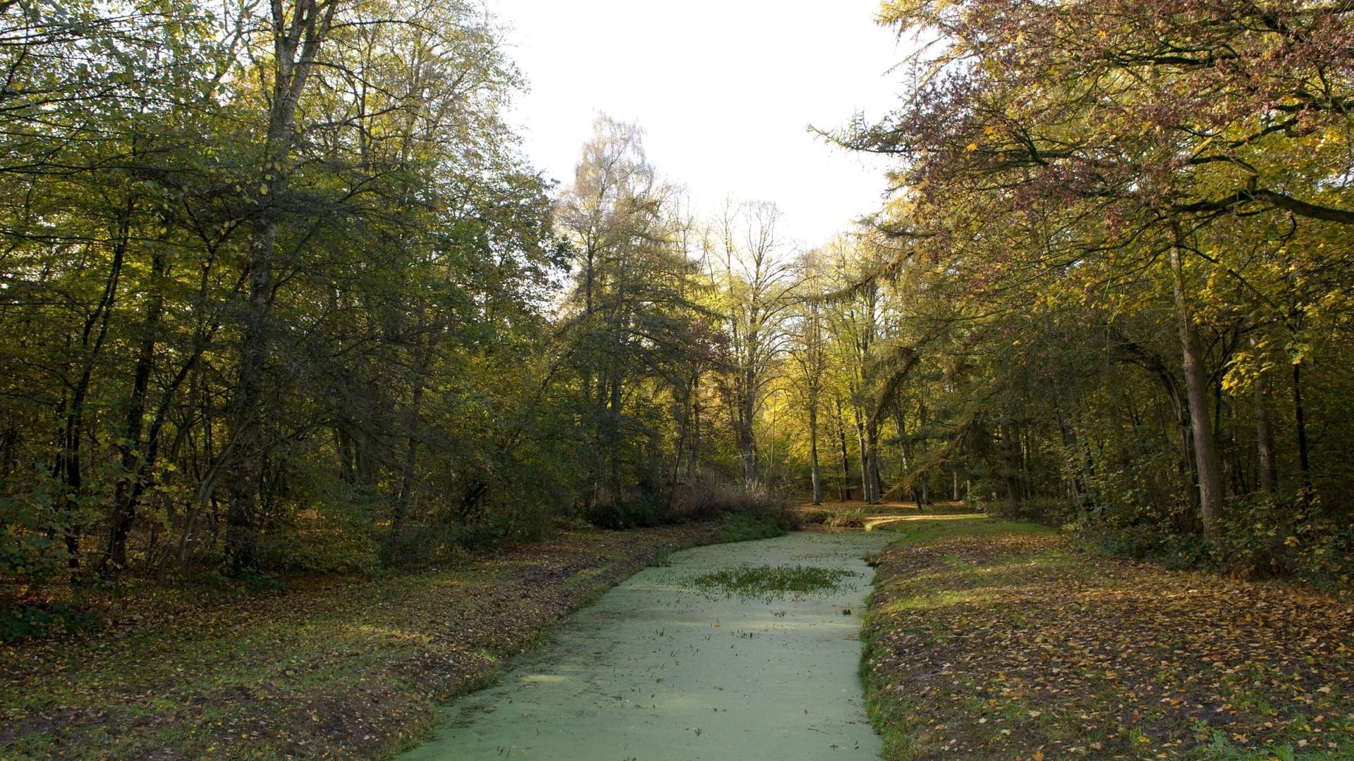 Der Bürgerpark in Bremen (Archivbild): Hier überwältigte der Mann die Frau.