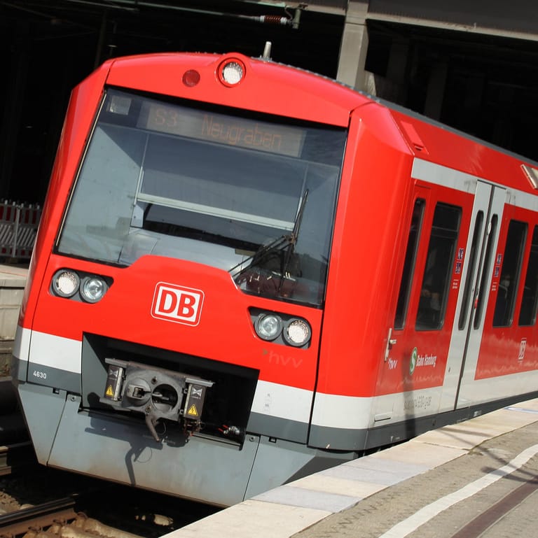 Eine S-Bahn der Linie S31 (Symbolbild): Wegen Bauarbeiten kommt es auf mehreren Strecken zu Sperrungen.