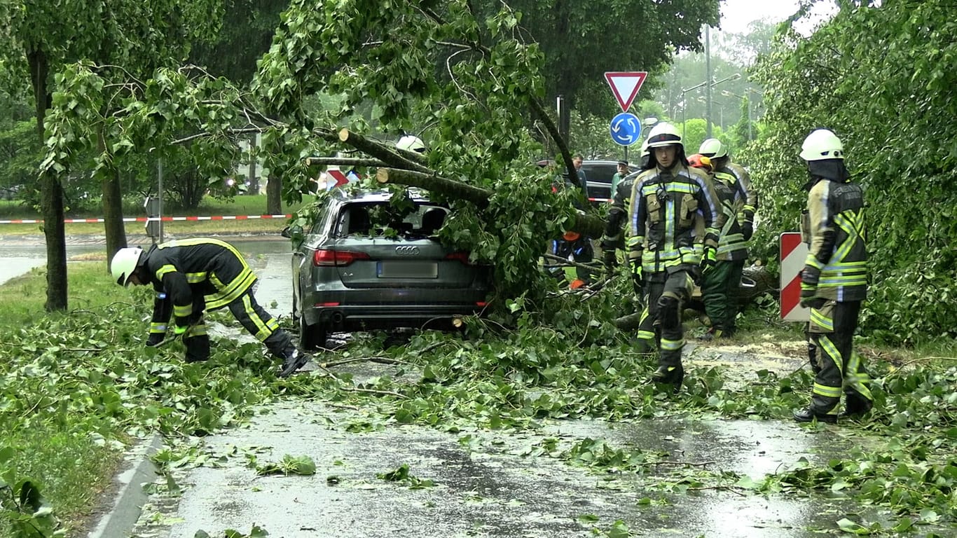 Feuerwehrleute beseitigen einen durch Gewitterböen umgestürzten Baum von einem Auto in Nordrhein-Westfalen: Die Feuerwehr musste mehrmals wegen Unwetterschäden ausrücken.