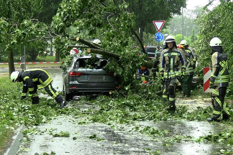 Feuerwehrleute beseitigen einen durch Gewitterböen umgestürzten Baum von einem Auto in Nordrhein-Westfalen: Die Feuerwehr musste mehrmals wegen Unwetterschäden ausrücken.