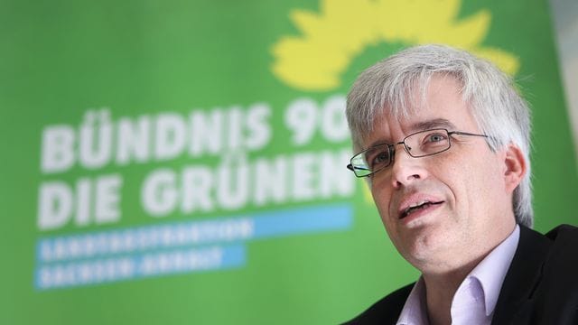 Olaf Meister (Grüne)