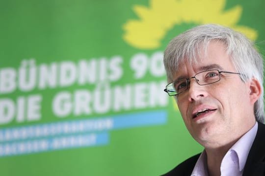 Olaf Meister (Grüne)