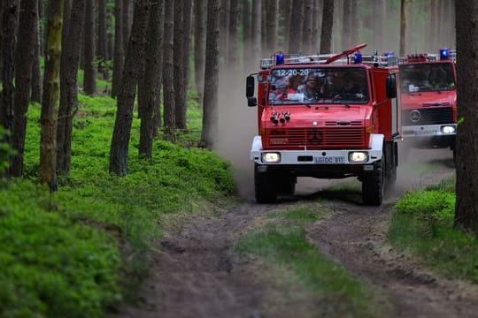 Einsatzfahrzeuge fahren zum Brandort (Symbolbild): Die Feuerwehr konnte den Brand löschen.