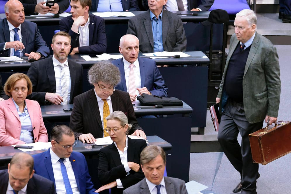 Die AfD Fraktion im Bundestag: Die Mitglieder der Partei heckten unter anderem Strategien aus, um andere Parteien zu "quälen".