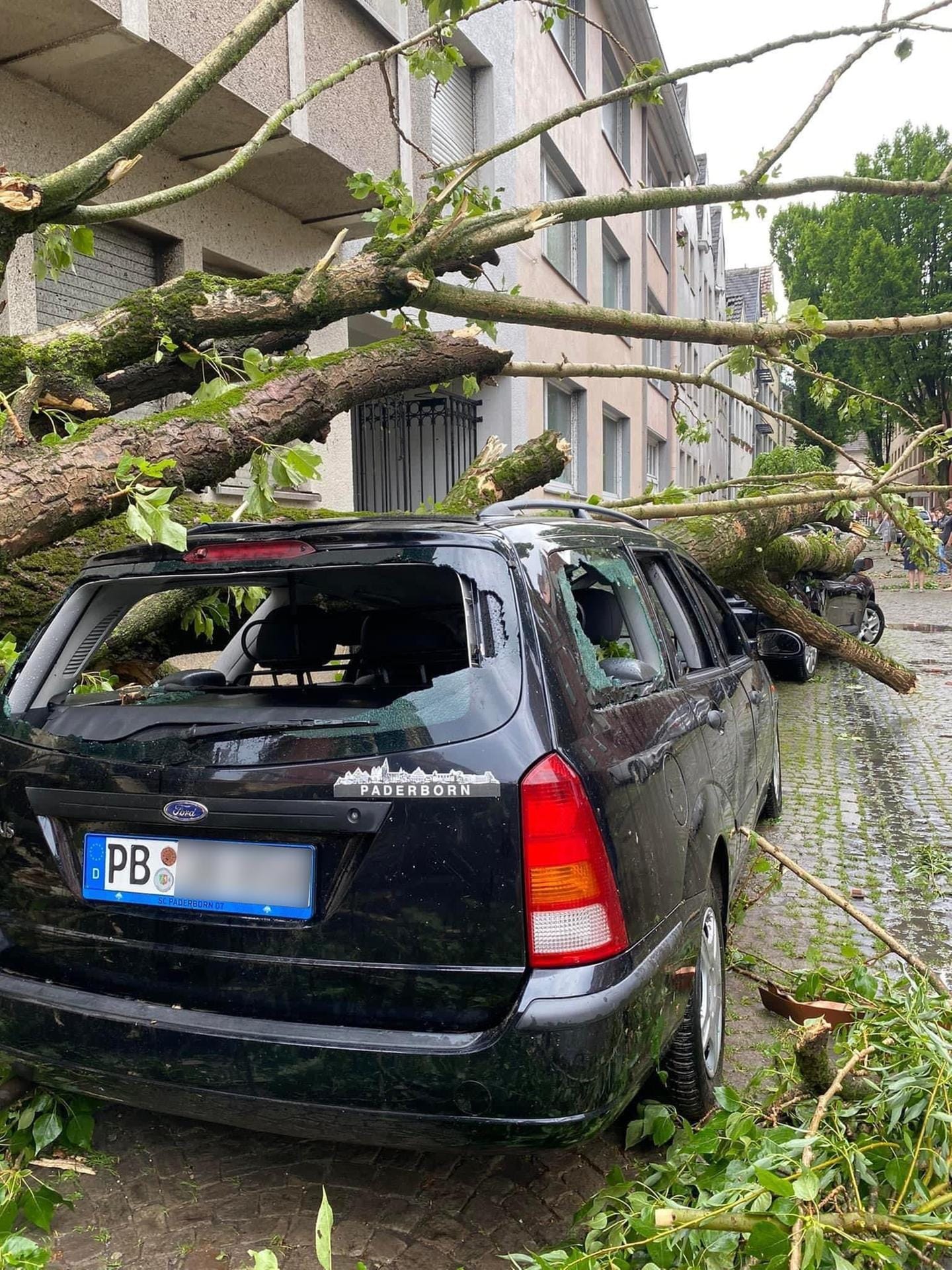 Paderborn: Bäume stürzten um und beschädigten Autos.
