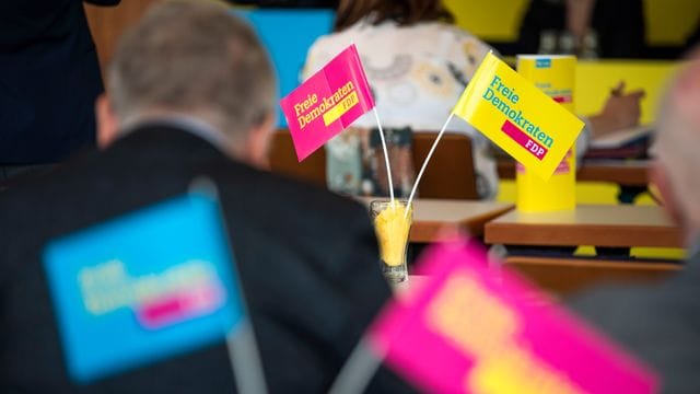 Landesparteitag FDP Mecklenburg-Vorpommern