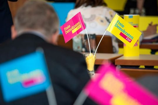 Landesparteitag FDP Mecklenburg-Vorpommern