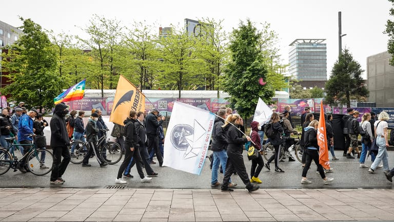 Hunderte Menschen beteiligten sich in Hamburg an der Demo, die über Reeperbahn und Fischmarkt bis zu den Landungsbrücken führte.