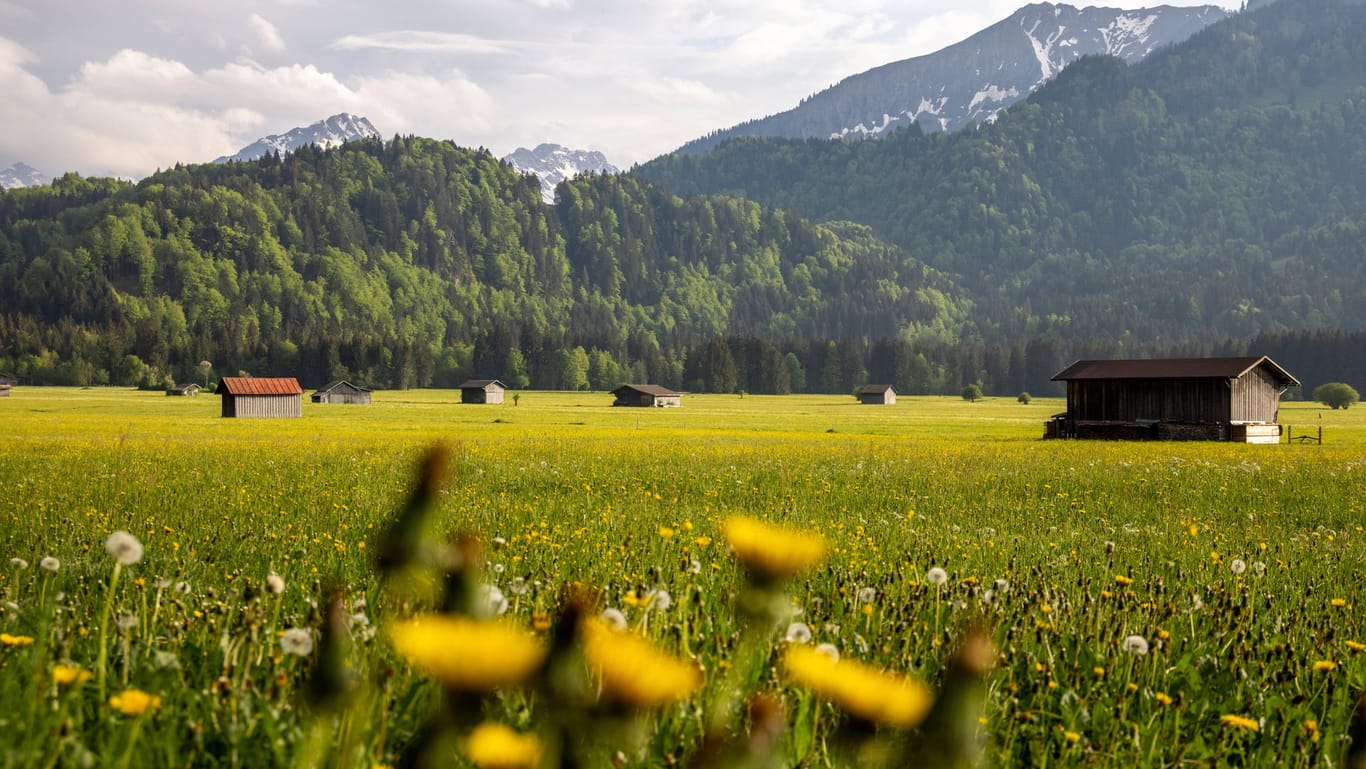 Nur eine Regionalexpress-Tagesfahrt von der dänischen Grenze entfernt: das Allgäu.