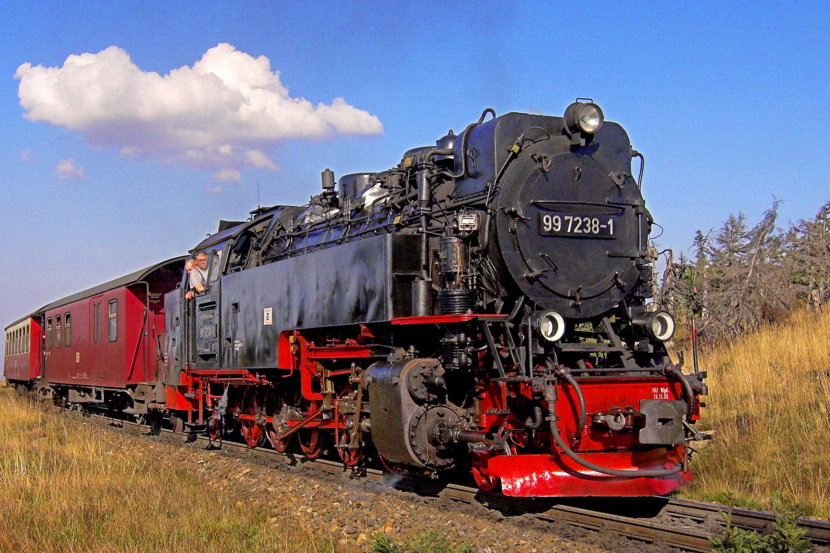 Harzer Schmalspurbahn auf dem Weg zum Brocken (Archiv): Viele Waldbrände im Harz liegen in unmittelbarer Nähe der Brockenbahn-Strecke.