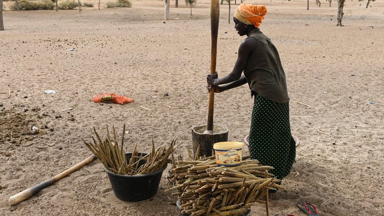 Eine Frau stampft Hirse: Die Trockenheit ist eins der großen Probleme in der Sahelzone, wie hier im Senegal.