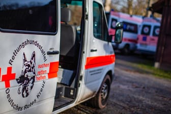 Fahrzeug einer Rettungshundestaffel (Symbolbild): Fast die Hälfte der Vermissten könnten Opfer einer Straftat oder eines Unglücks geworden sein.