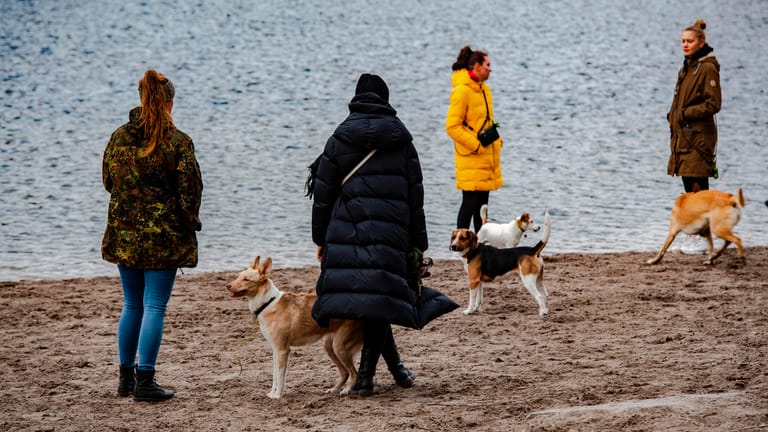 Spaziergänger stehen mit ihren Hunden am Grunewaldsee (Archivbild): Erneut wurden in Berlin mehr Hunde erfasst.