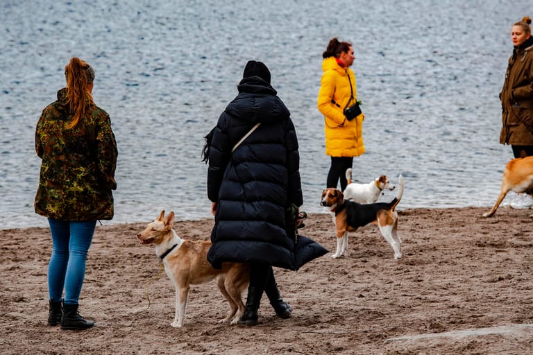 Spaziergänger stehen mit ihren Hunden am Grunewaldsee (Archivbild): Erneut wurden in Berlin mehr Hunde erfasst.
