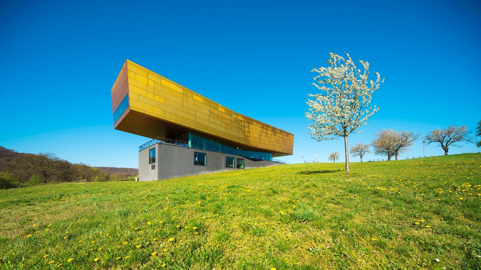 Die "Arche Nebra" im Frühling: Die Himmelscheibe selbst ist hier an ihrem Fundort nicht mehr zu besichtigen, dafür aber die Heimat der Menschen, die sie herstellten.