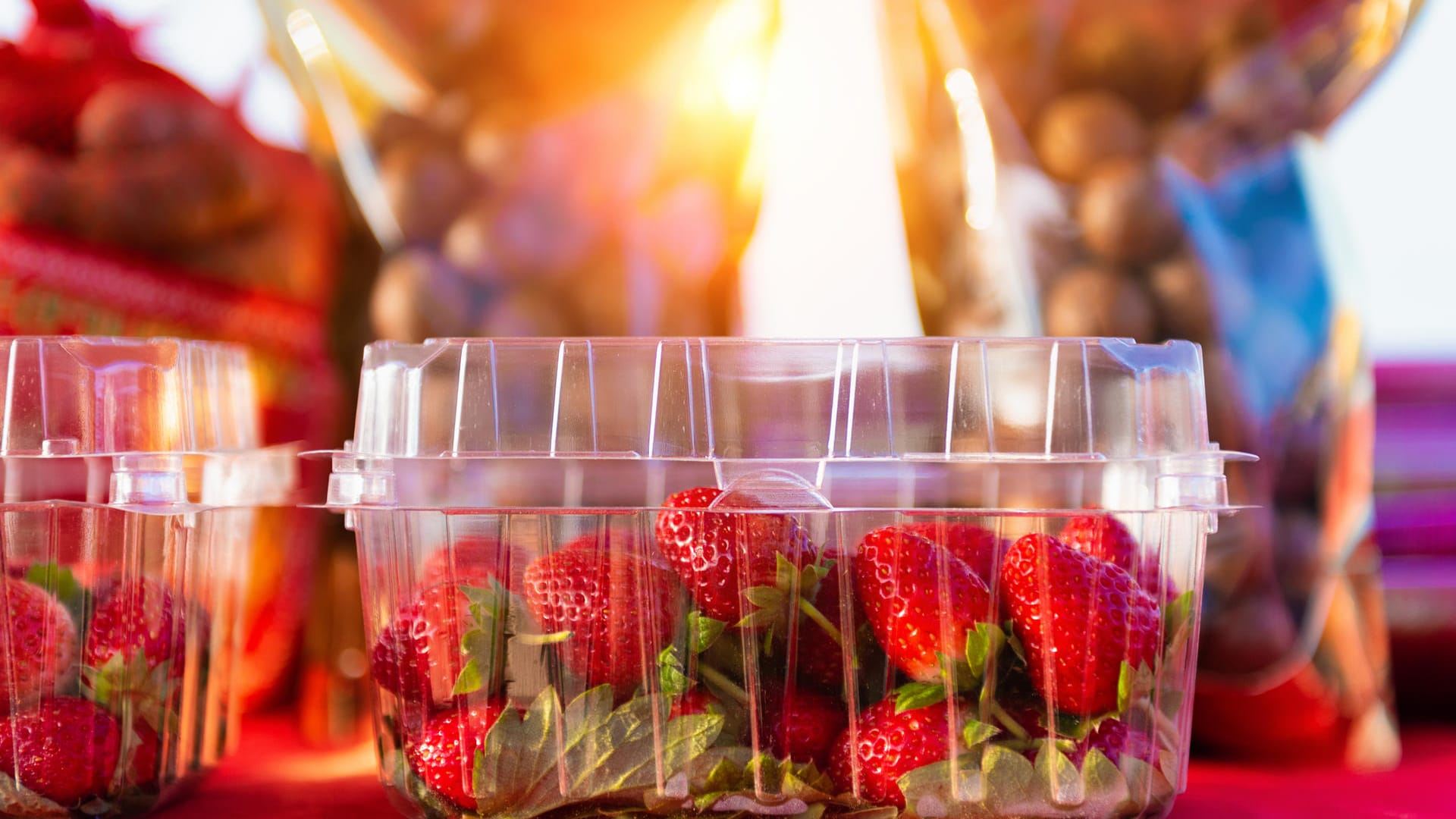 Wussten Sie, dass Erdbeeren tatsächlich keine Beeren sind? In botanischer Hinsicht sind es "Sammelnussfrüchte". Denn nicht der saftige rote Teil der Erdbeere ist die eigentliche Frucht der Pflanze, sondern die vielen kleinen Nüsschen obendrauf sind die Früchte.