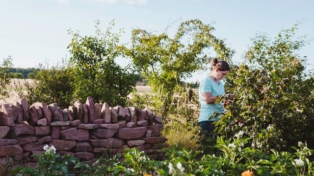 Üppig grün und voller spannender Ecken: Permakultur hat viel zu bieten.