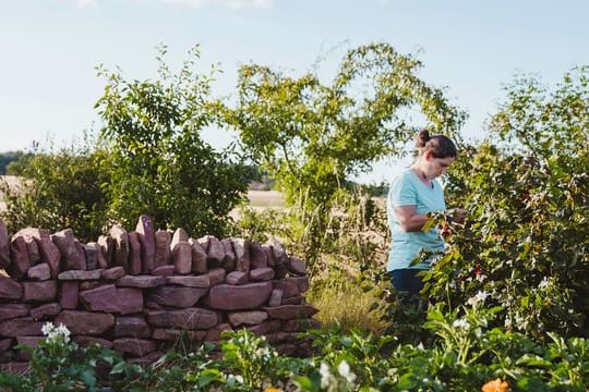 Üppig grün und voller spannender Ecken: Permakultur hat viel zu bieten.