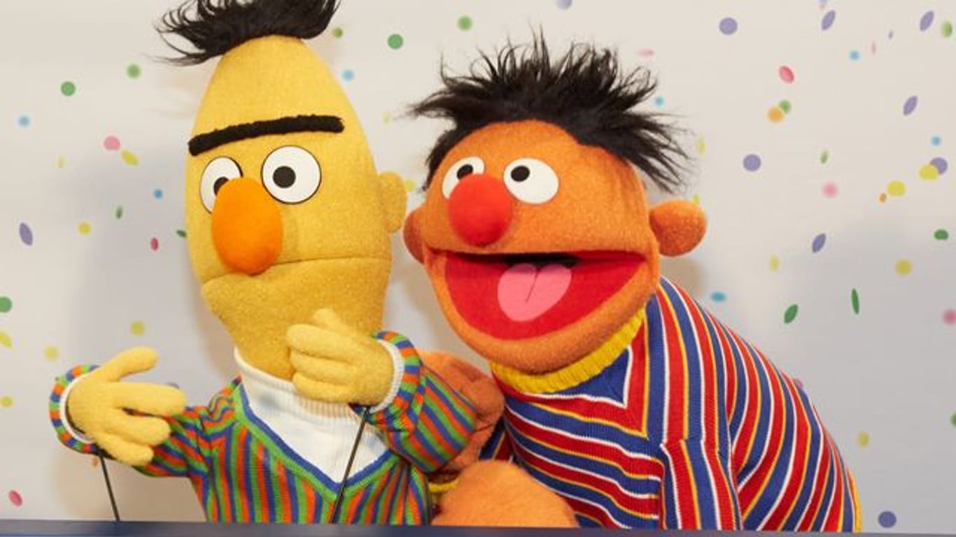 Die beiden Figuren Ernie (r) und Bert posieren bei einem NDR-Pressetermin zu "40 Jahre Sesamstraße".
