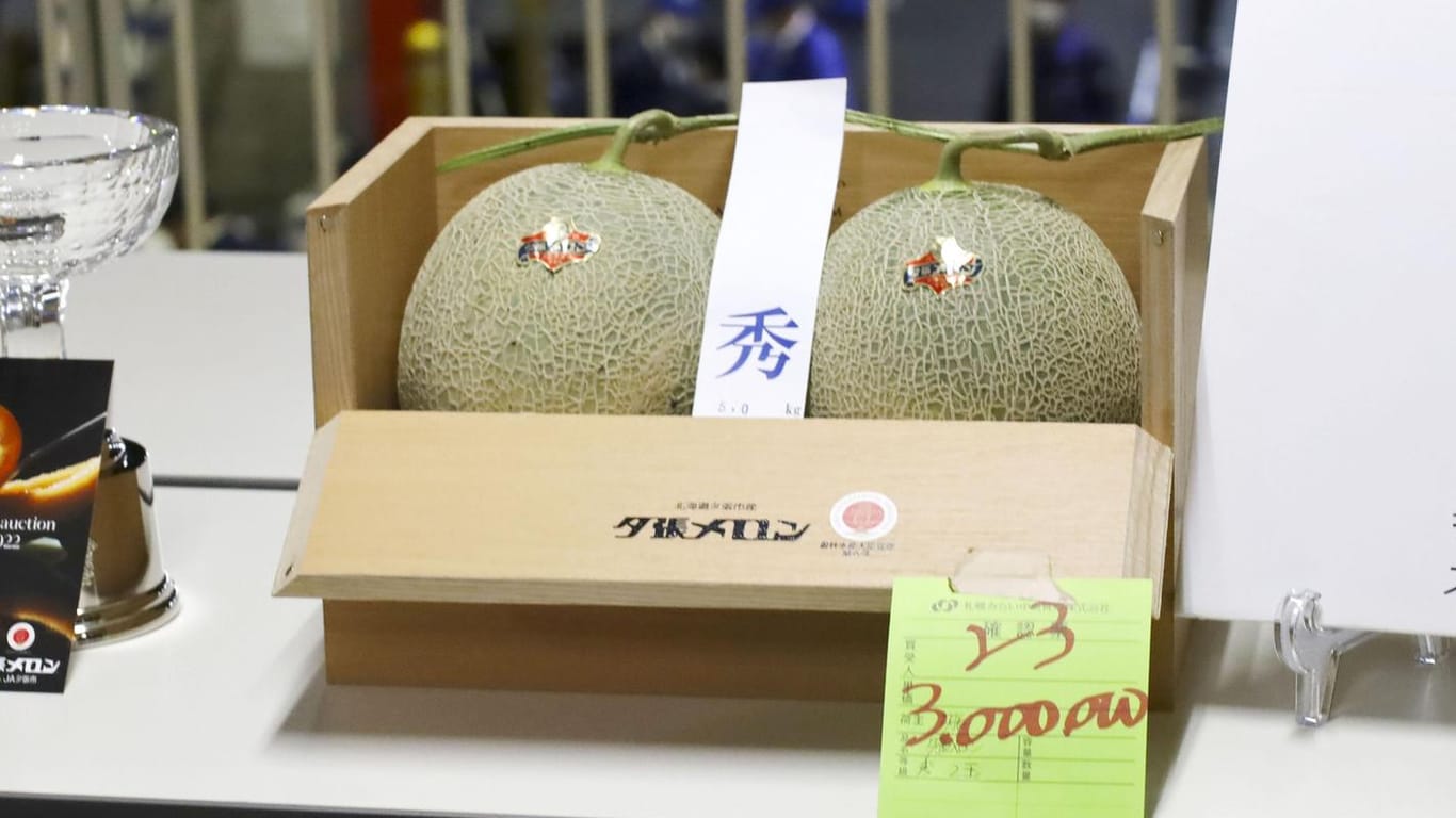 Edle Früchte: Diese beiden Melonen wurden für mehr als 22.000 Euro versteigert.