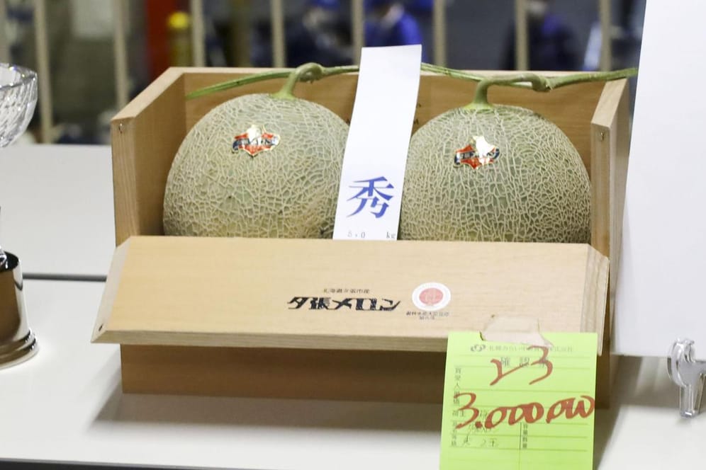 Edle Früchte: Diese beiden Melonen wurden für mehr als 22.000 Euro versteigert.