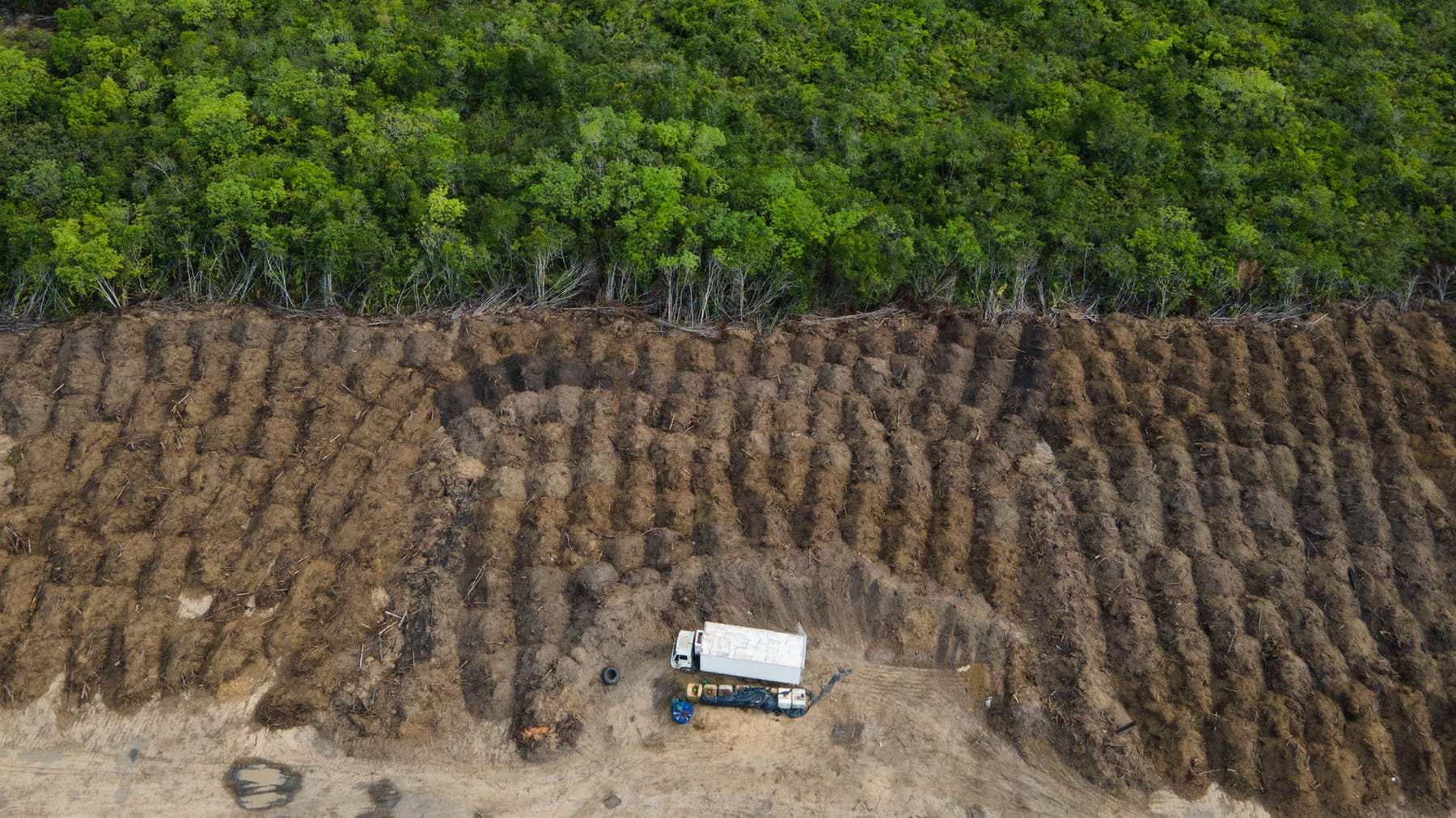 Brazil accelerates destruction of rainforests - World Today News