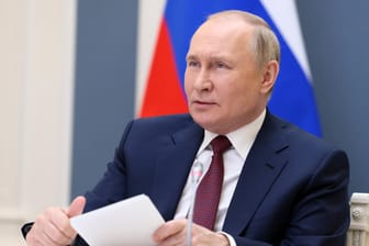 Wladimir Putin, Russlands Präsident: Politiker und Menschenrechtler wollen den "russischen Bär erschlagen".