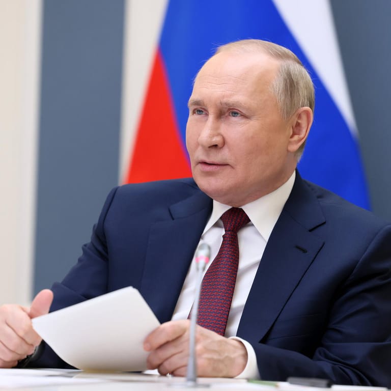 Wladimir Putin, Russlands Präsident: Politiker und Menschenrechtler wollen den "russischen Bär erschlagen".
