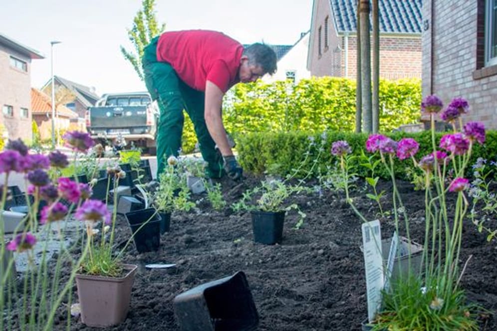 Beim Vorgarten-Wettbewerb des Emder Ökowerks werden Schottergärten in insektenfreundliche Gärten umgestaltet.
