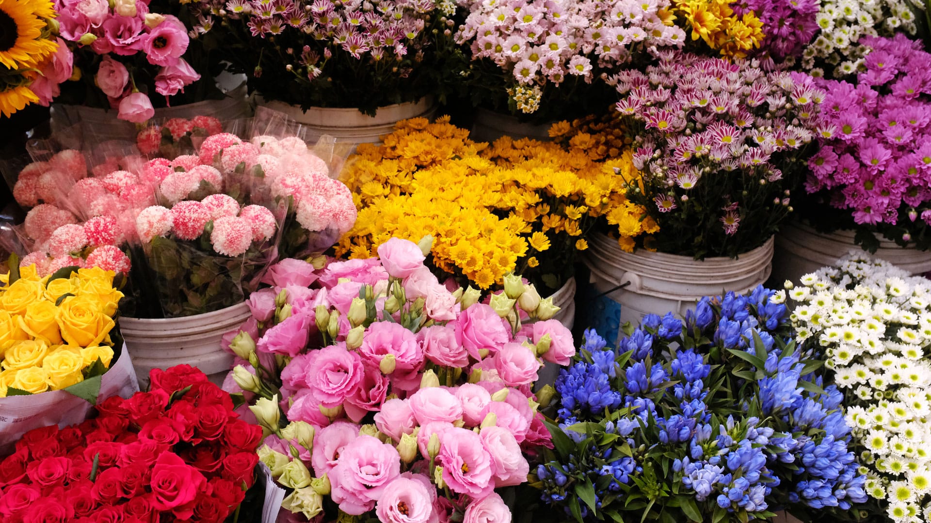 Ein Portfolio sollte genauso bunt und vielfältig sein wie ein Blumenstrauß.