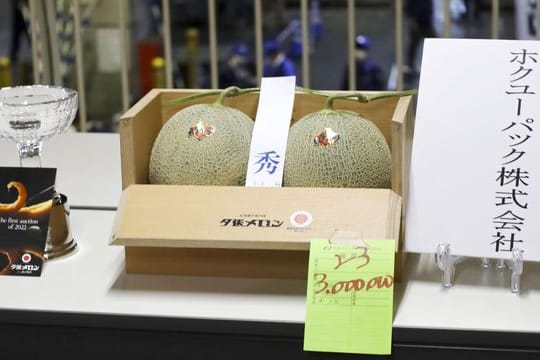 Ein Paar Yubari-Melonen erzielt bei einer Auktion einen Preis von 3 Millionen Yen.