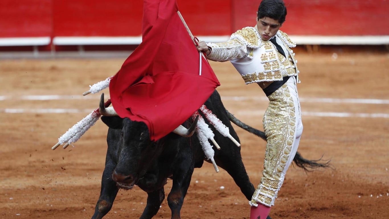 Stierkampf im Plaza de Toros in Mexiko-Stadt: Die Tradition steht vor dem Aus.