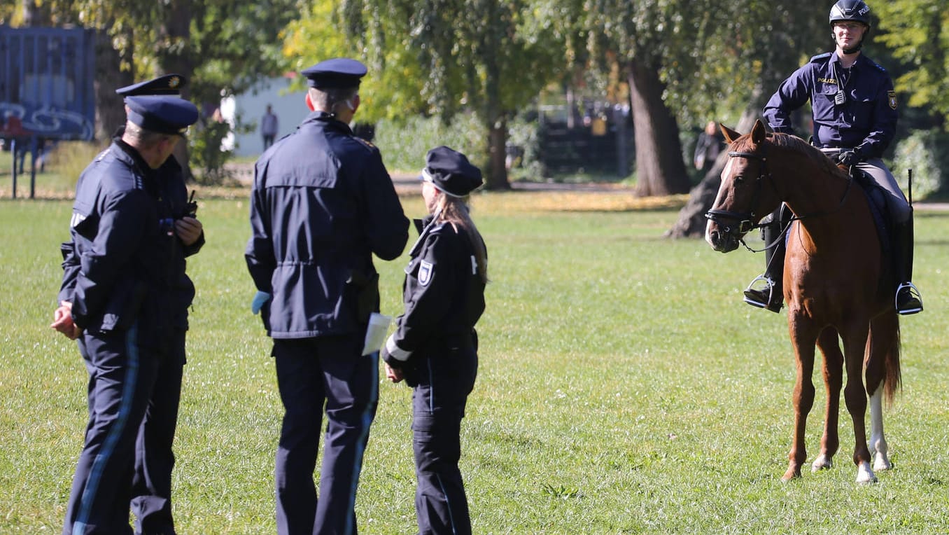 Polizisten auf der Wöhrder Wiese (Archivbild): Hier ereignete sich der Übergriff.