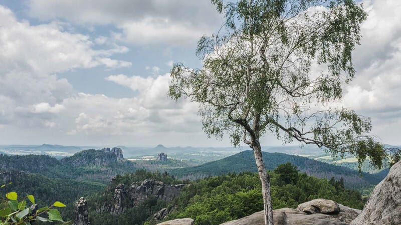 Im Nationalpark Sächsische Schweiz.