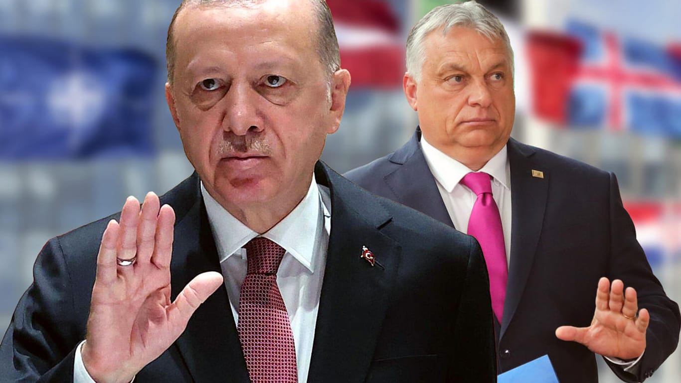 Erdoğan und Orbán: Die Einheit des Westens scheint zu bröckeln – auch wegen Blockadehaltungen Ungarns und der Türkei.