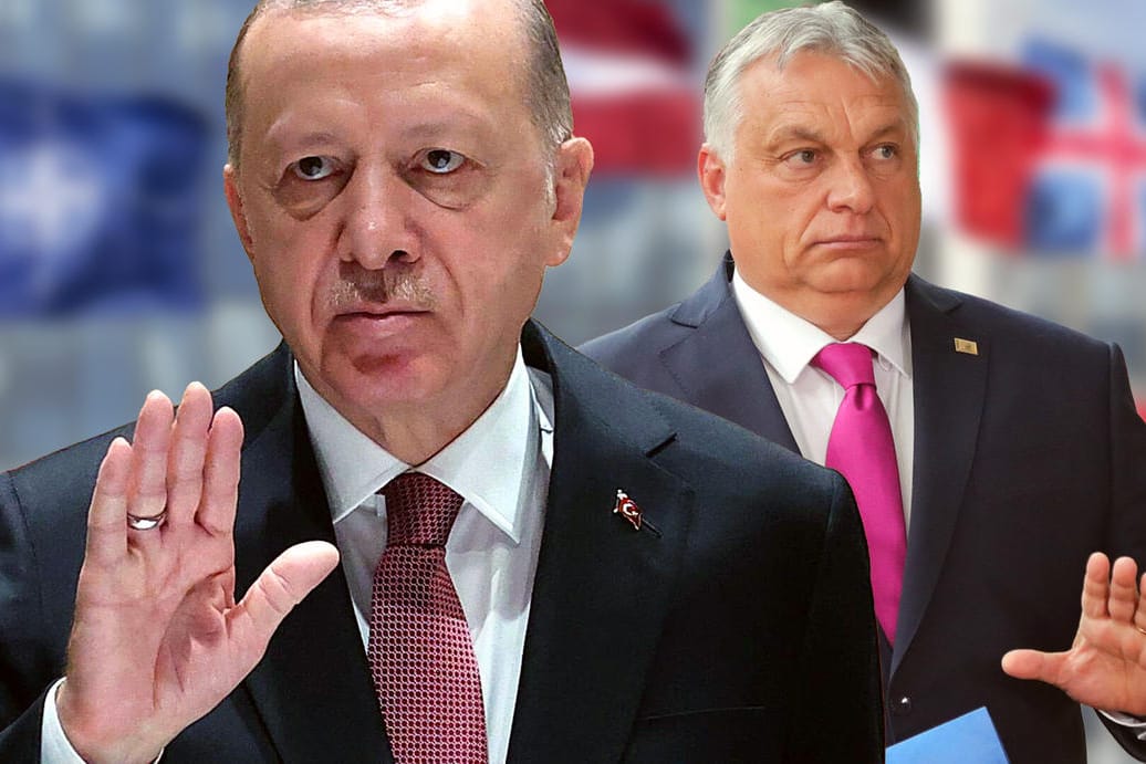 Erdoğan und Orbán: Die Einheit des Westens scheint zu bröckeln – auch wegen Blockadehaltungen Ungarns und der Türkei.