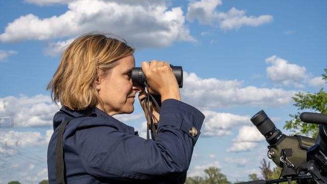 Artenschutzprojekte in Rheinland-Pfalz