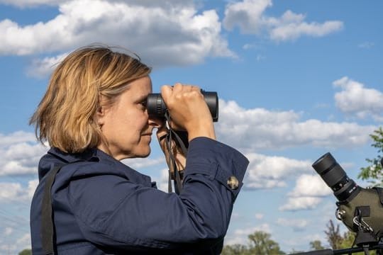 Artenschutzprojekte in Rheinland-Pfalz