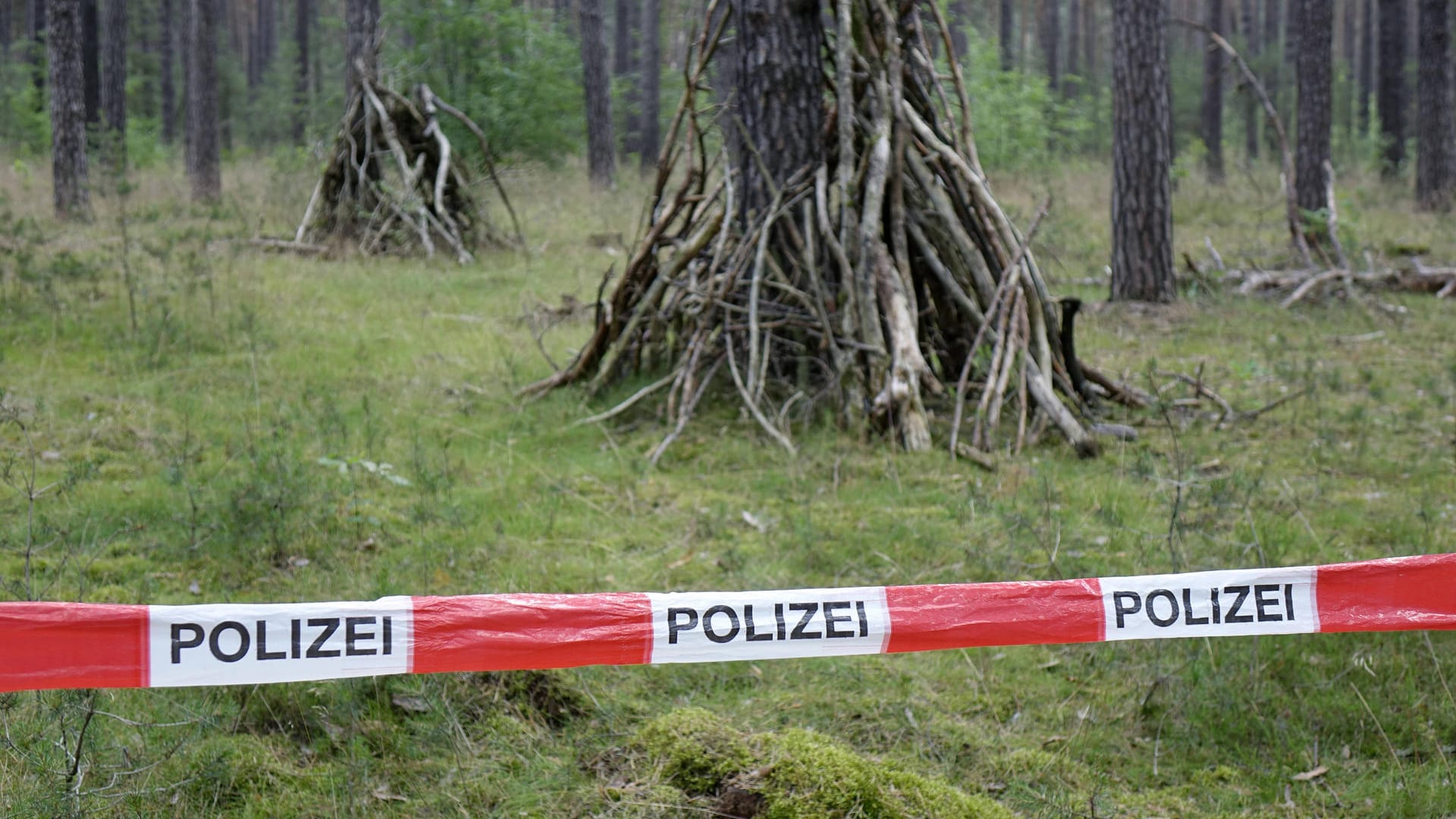 Polizeiabsperrung im Wald (Symbolbild): Die Rechtsmedizin befasst sich nun mit den Überresten. Polizeiabsperrung im Wald (Symbolbild): Die Rechtsmedizin befasst sich nun mit den Überresten.
