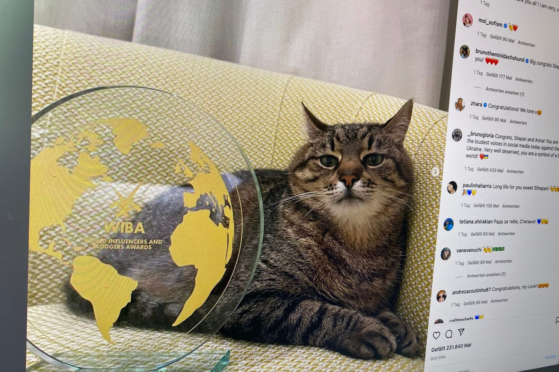 Screenshot von Stepans Instagram-Account: Der Kater ist eine Berühmtheit im Internet.