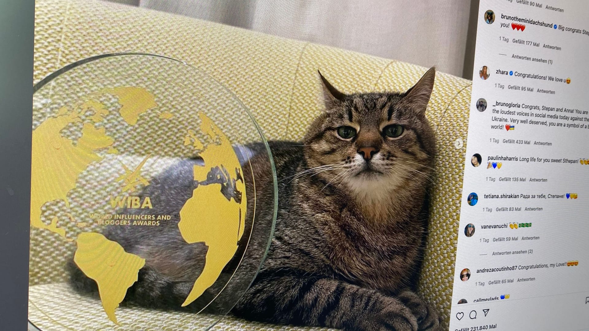 Screenshot von Stepans Instagram-Account: Der Kater ist eine Berühmtheit im Internet. Screenshot von Stepans Instagram-Account: Der Kater ist eine Berühmtheit im Internet.