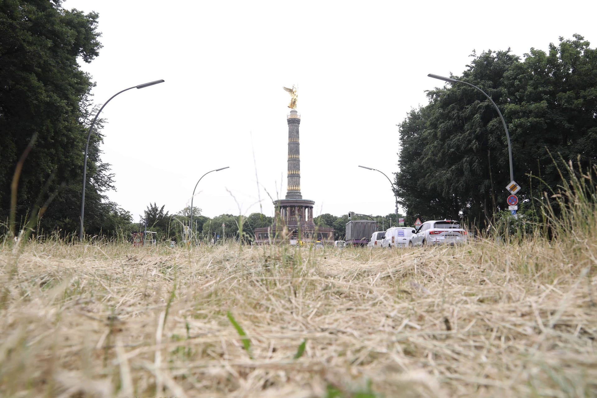 Trockene Rasenfläche vor der Siegessäule (Archiv): Deutschlandweit hat es im Frühling zu wenig geregnet.