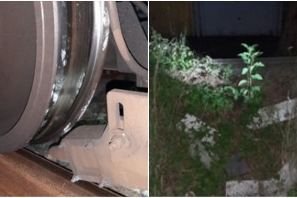 Die Betonplatte zwischen Rad und Gleis: Glücklicherweise ist der Zug nicht völlig entgleist.