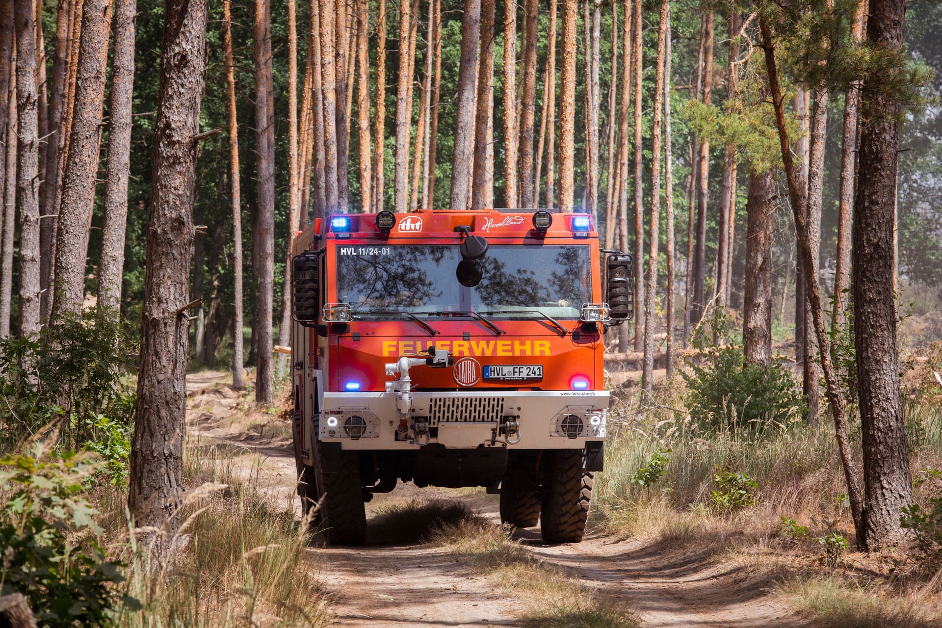Einsatz der Feuerwehr in der Gohrischheide in Sachsen (Archivbild): Am Donnerstag war hier ein Großbrand ausgebrochen.
