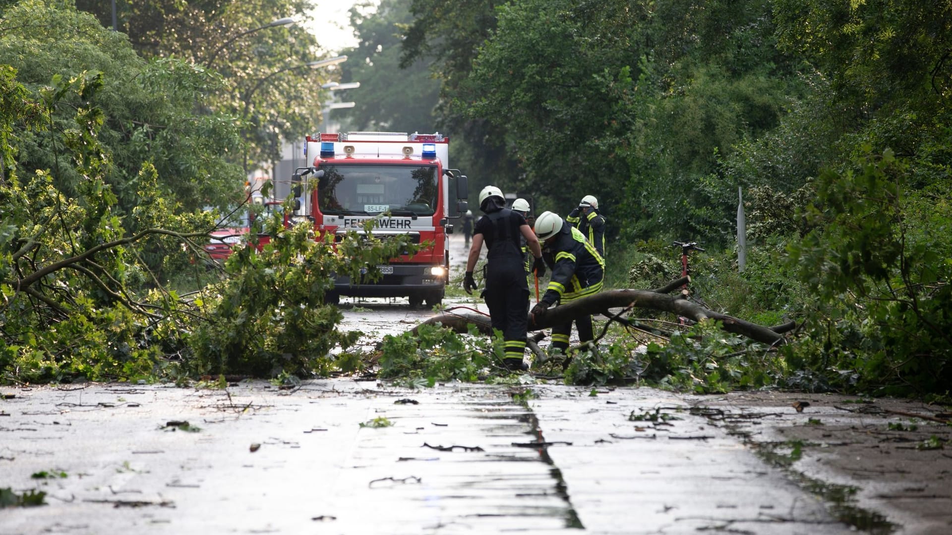 Sturm entwurzelt Bäume Sturm entwurzelt Bäume