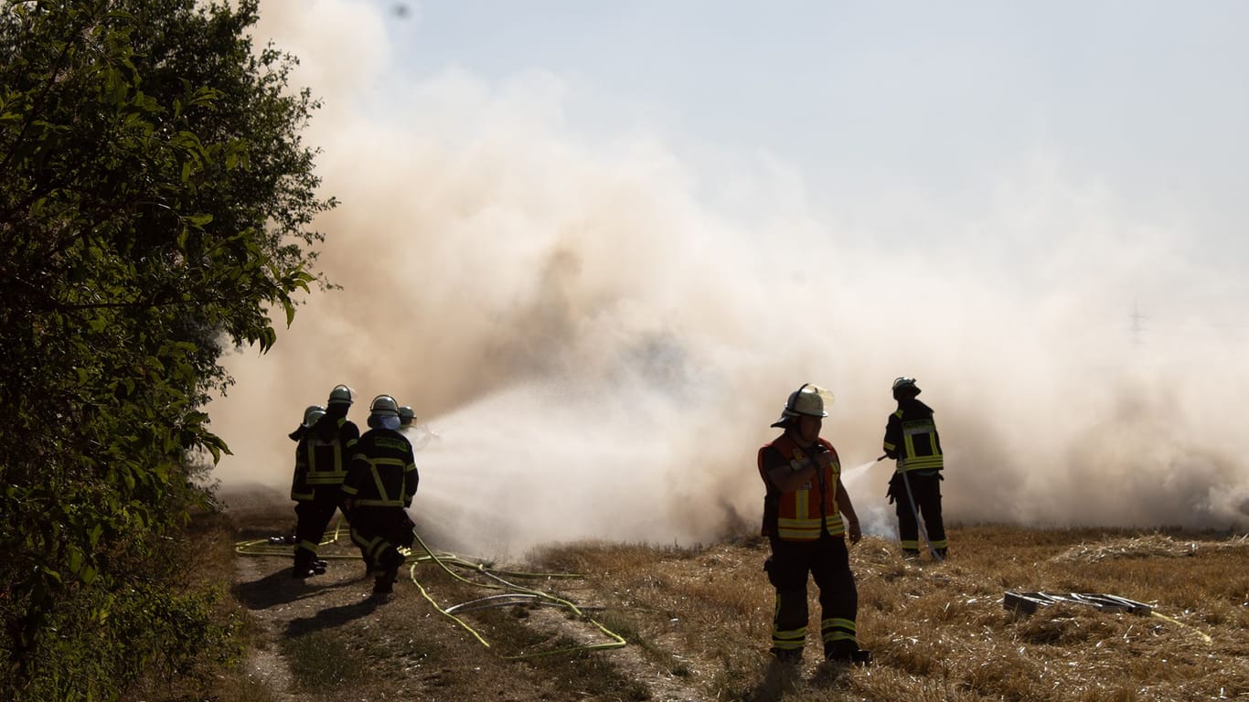 Feuerwehr löscht Brand auf einem Feld: Das Feuer breitete sich auf einer Fläche von 15.000 Quadratmetern aus.