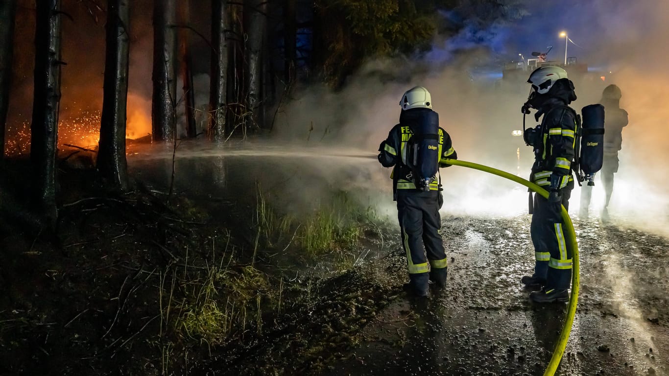 Die Feuerwehr löscht einen Waldbrand (Archivbild): Zur Brandursache machte die Polizei in Darmstadt noch keine Angaben.