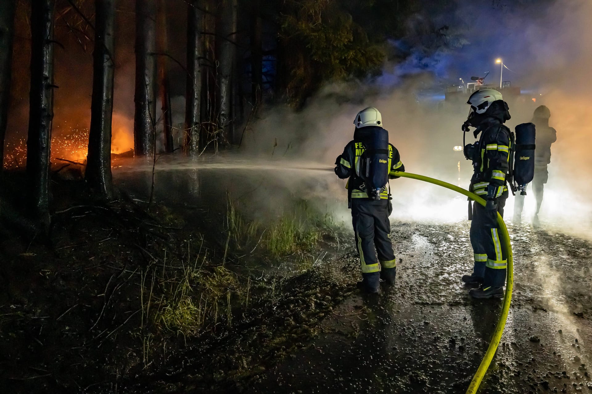 Die Feuerwehr löscht einen Waldbrand (Archivbild): Zur Brandursache machte die Polizei in Darmstadt noch keine Angaben.