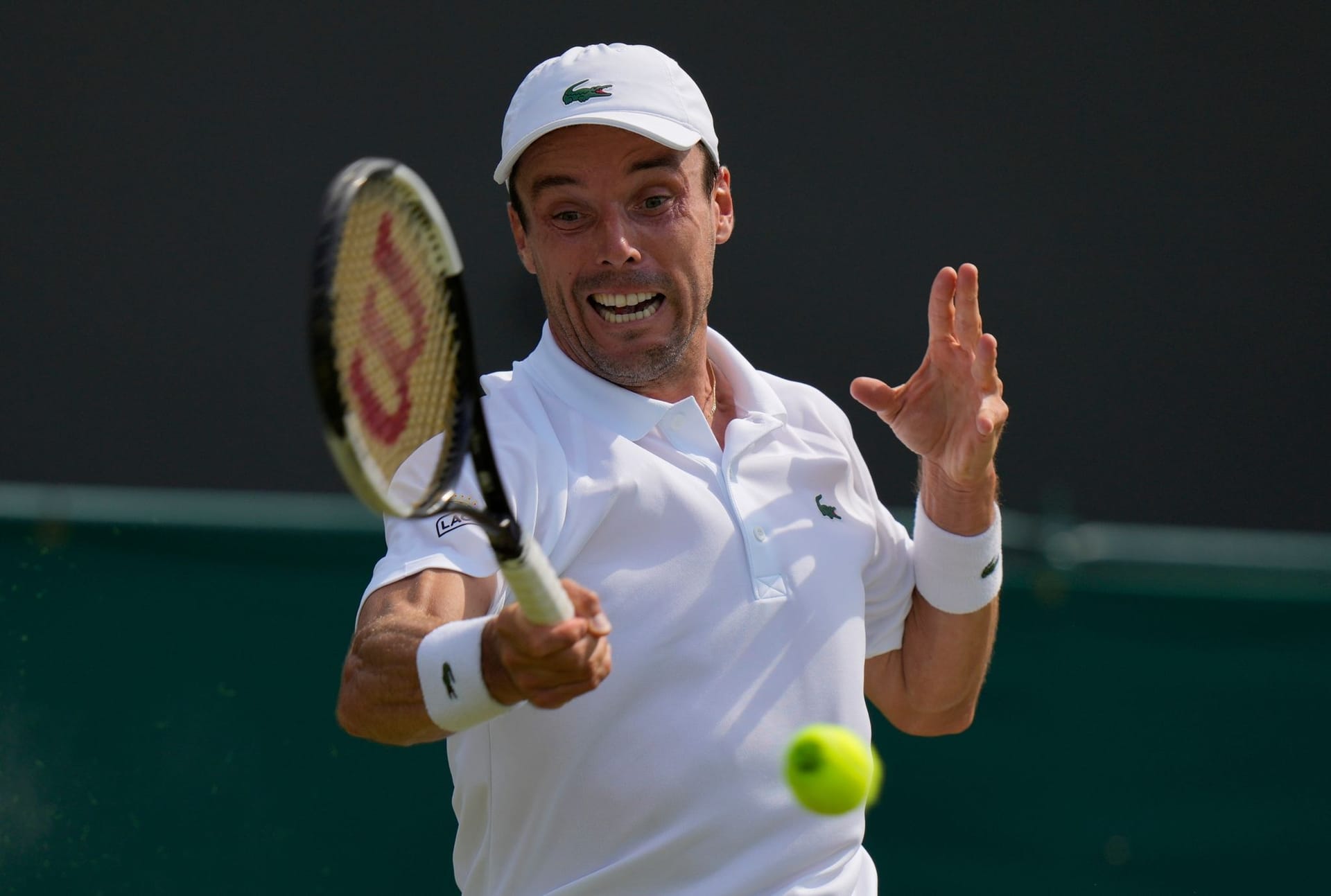 Roberto Bautista Agut